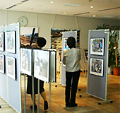 © 日本ユニセフ協会　東京会場の様子