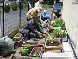 球根植えするボランティアのみなさん