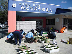 新設されたみどり幼稚園の前で植えました