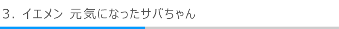 3．イエメン 元気になったサバちゃん