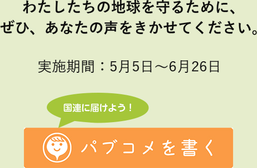 わたしたちの地球を守るために、ぜひ、あなたの声をきかせてください。実施期間：5月5日～6月26日　国連に届けよう！パブコメを書く